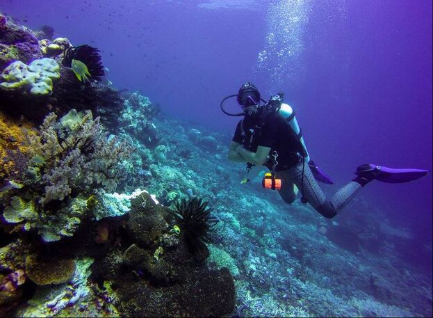 Picture of Samantha underwater with scuba equipment next to a coral garden and facing the camera